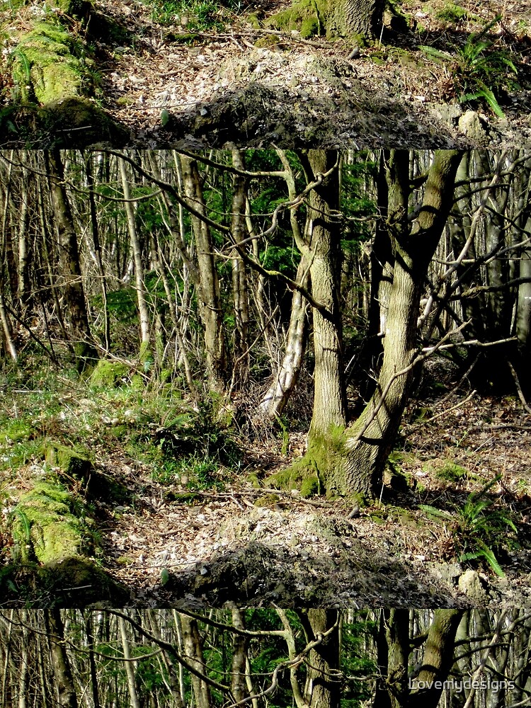 Forest by Lovemydesigns