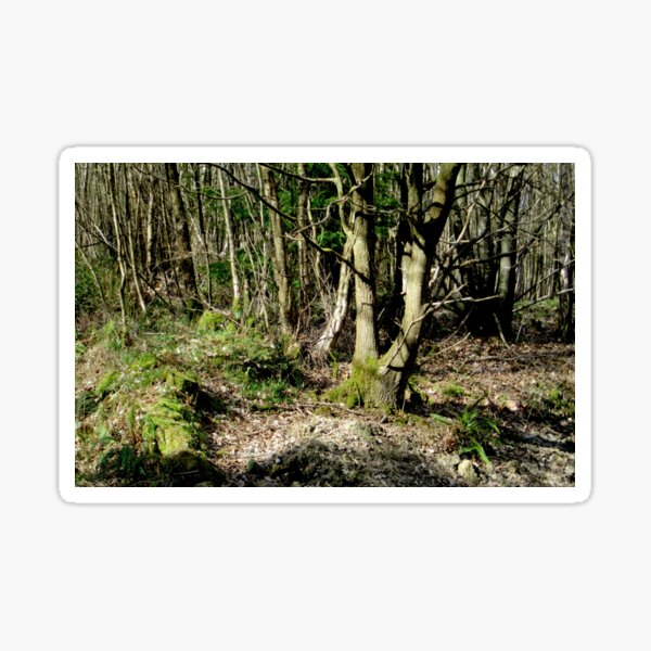 Forest Sticker