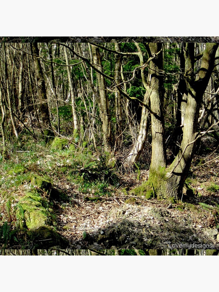 Forest by Lovemydesigns
