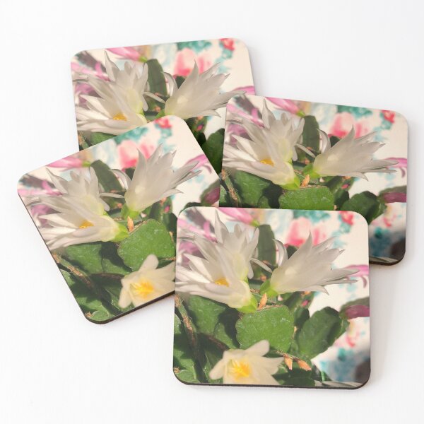 Item preview, White Easter cactus in the golden hour  designed and sold by FlowersAndMore.