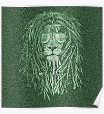 Póster Green Lion
