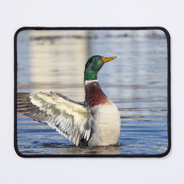 Item preview, Mallard wing flap designed and sold by GreyFeatherPhot.