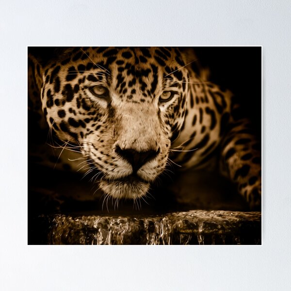 Panthera Hunter Green Textured Leopard Print 220144 – Prime Walls