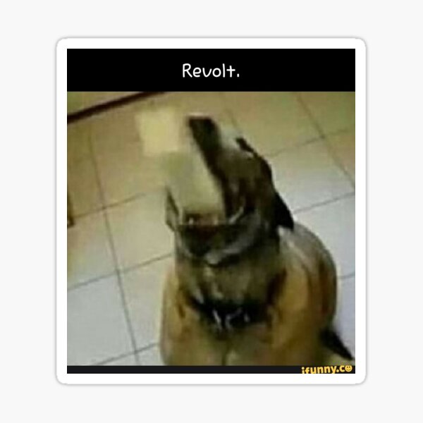 "Butter Dog" Sticker for Sale by AkaBunndy Redbubble