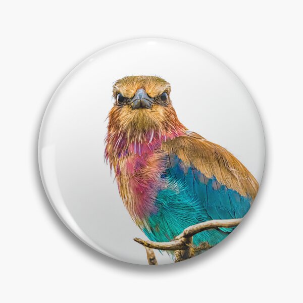 Item preview, Lilac Breasted Roller designed and sold by Sandra Belitza-Vazquez.