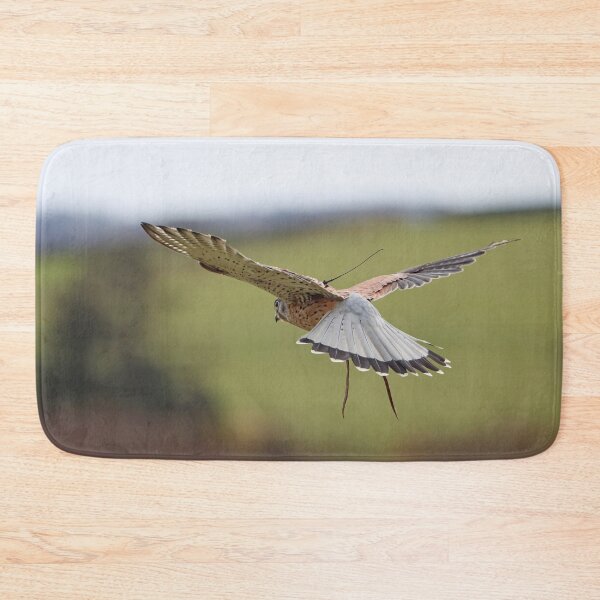 Item preview, Hovering kestrel I designed and sold by GreyFeatherPhot.