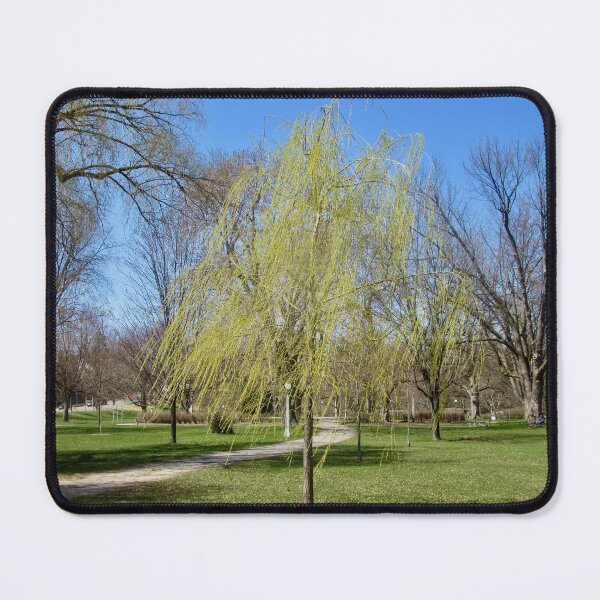 Item preview, Spring is finally here! designed and sold by Shulie1.