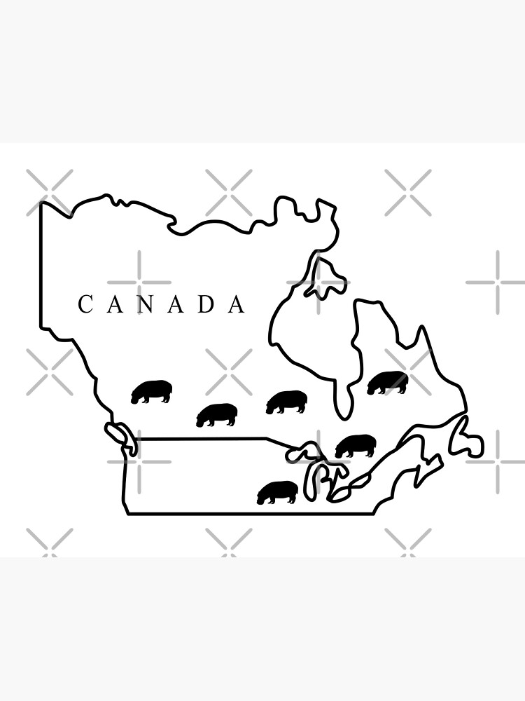 "House Hippo Map" Poster for Sale by pixellucyart Redbubble