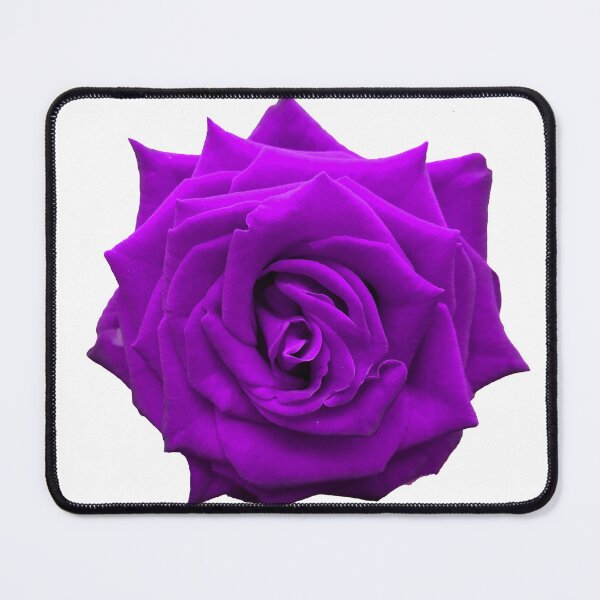 Item preview, Lavender Rose designed and sold by LadyKandis.