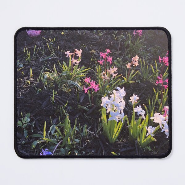 Item preview, Colorful hyacinth flowers in the golden hour designed and sold by FlowersAndMore.