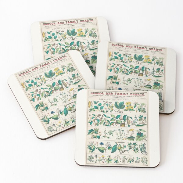 Item preview, School and family charts, No. XXI. botanical: economical uses of plants (c.1890) (Botanical drawing) designed and sold by UsedToBeStatue.