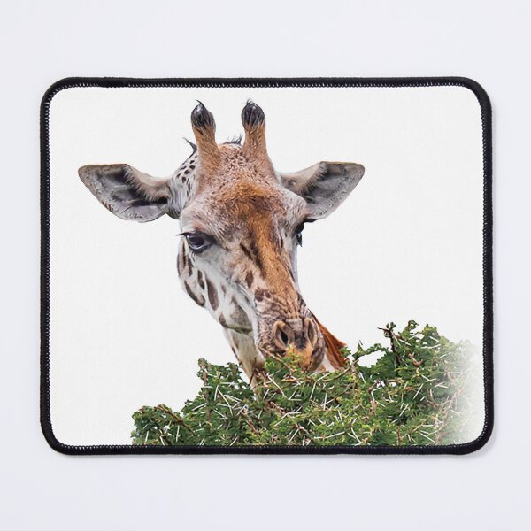 Item preview, Up-High designed and sold by Sandra Belitza-Vazquez.