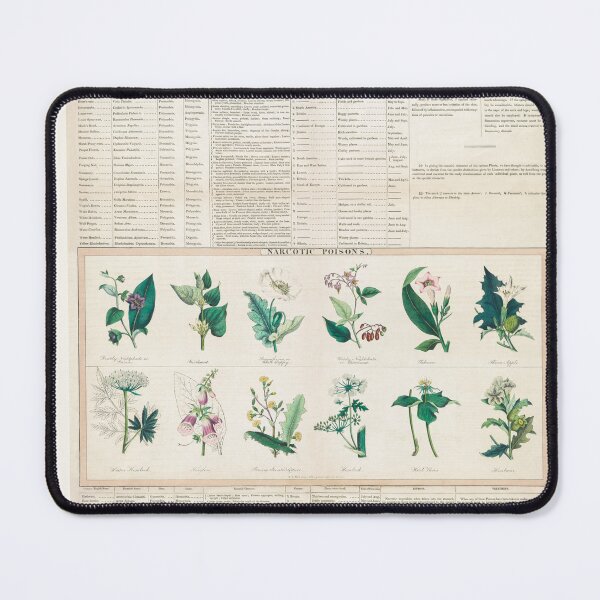 Item preview, Narcotic poisons (1843) botanical: economical uses of plants (c.1890) (Botanical drawing) designed and sold by UsedToBeStatue.