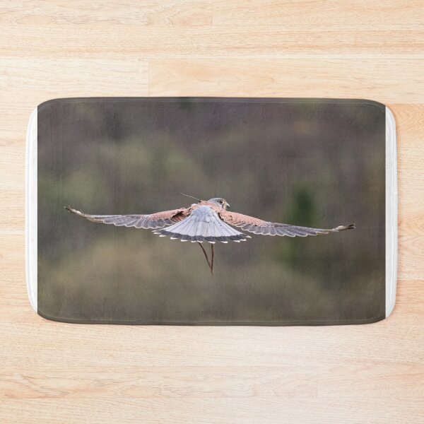 Item preview, Hovering kestrel II designed and sold by GreyFeatherPhot.