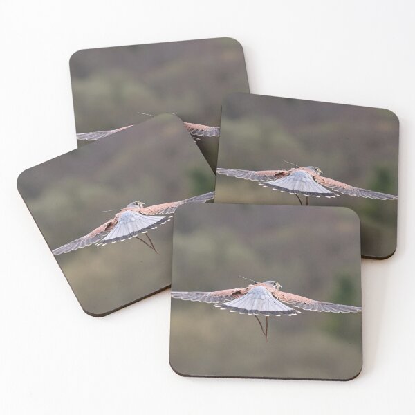 Item preview, Hovering kestrel II designed and sold by GreyFeatherPhot.