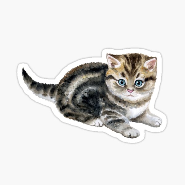 Cat, emoji, frown, grumpy, kitten, meme, sad icon - Download on Iconfinder