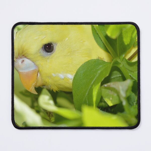 Item preview, Yellow Budgie Parakeet Bird designed and sold by silviaol.