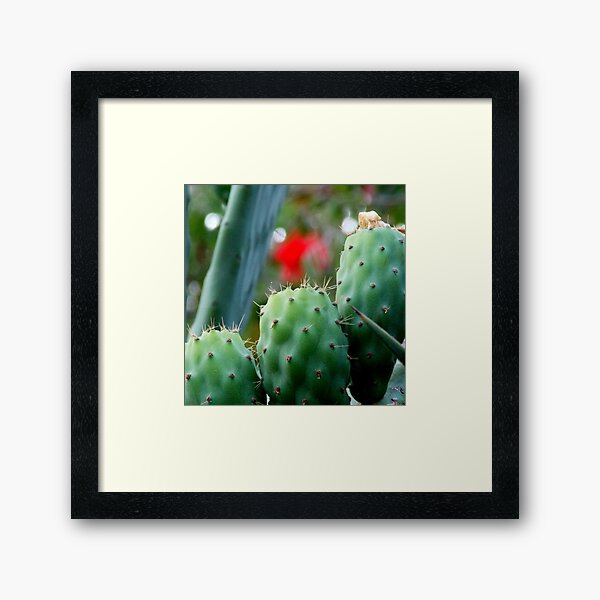 Item preview, Cacti Close-up , Prickly Pear Cactus, Closeup View of Green Cacti Leaves  designed and sold by branaghbel.