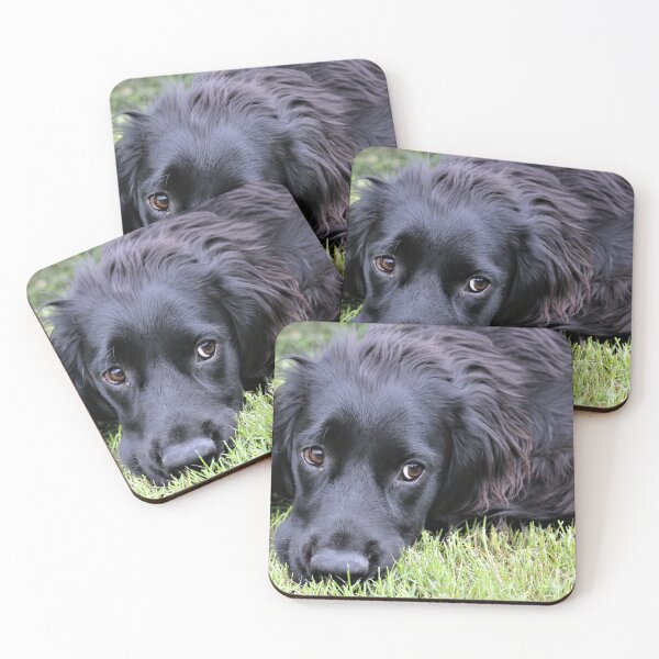 Item preview, bertie designed and sold by john2clarke.