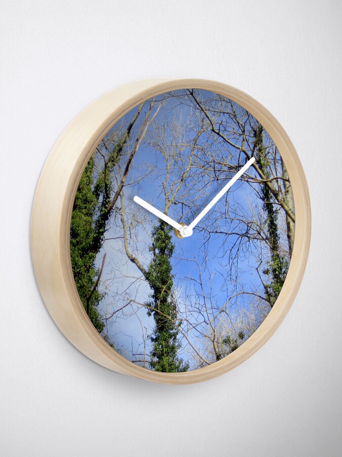 Alternate view of Forest Clock