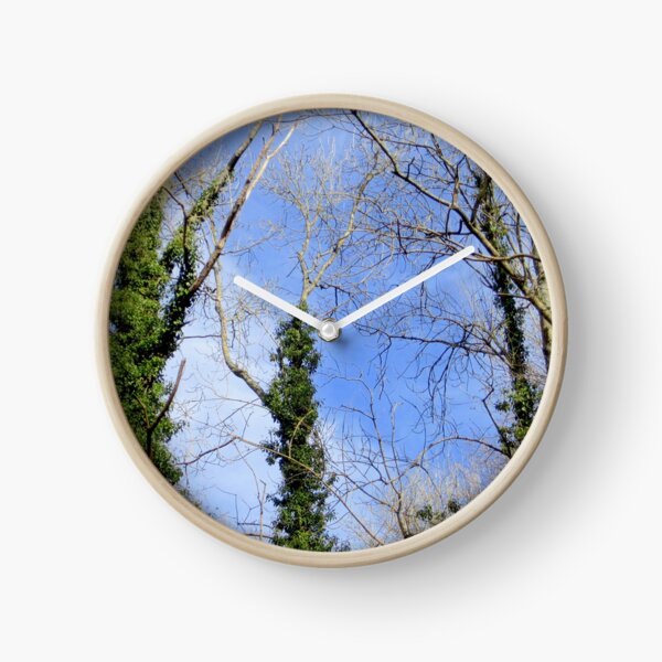 Forest Clock