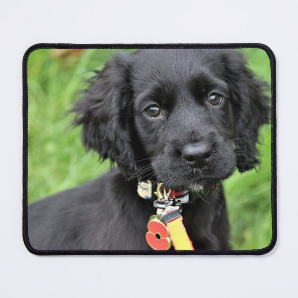 Item preview, bertie poppy designed and sold by john2clarke.