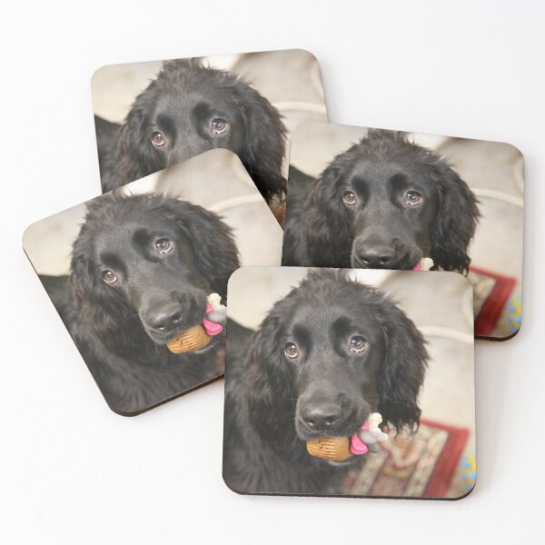 Item preview, bertie birthday designed and sold by john2clarke.