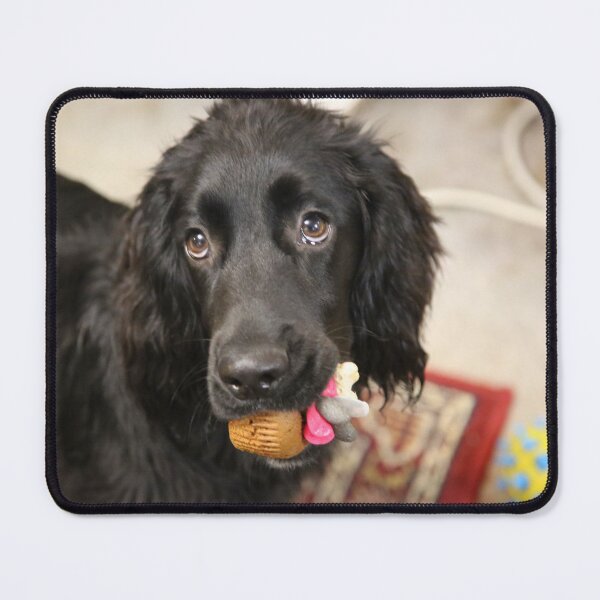 Item preview, bertie birthday designed and sold by john2clarke.