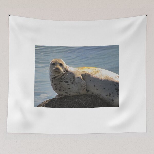 Item preview, Camera Pose Sea Lion designed and sold by bertsworks300.