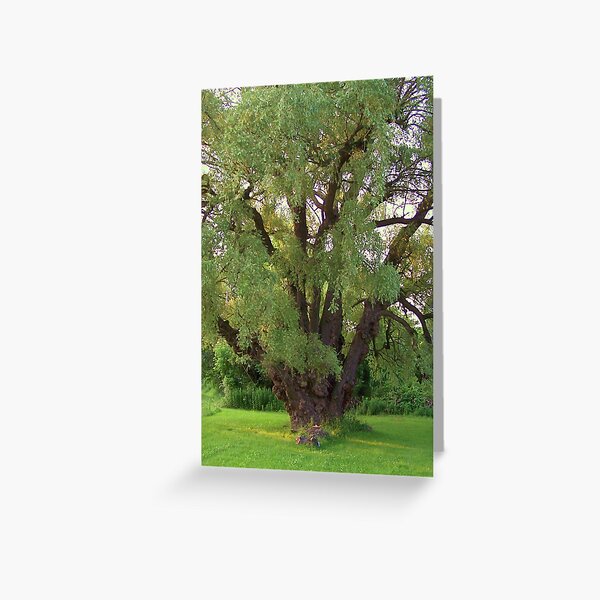 Save a Tree, Save the World Greeting Card
