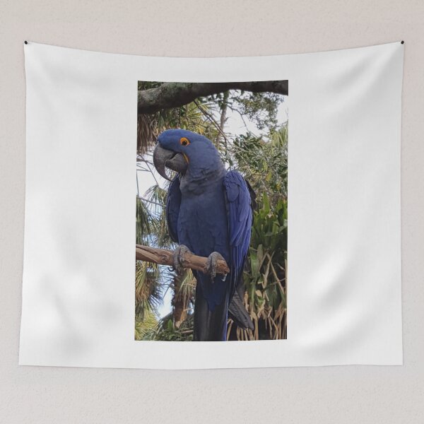 Item preview, Blue Macaw designed and sold by bertsworks300.