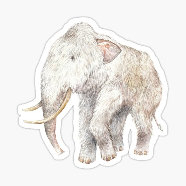 Woolly Mammoth Watercolor Fuzzy Prehistoric Creature Sticker