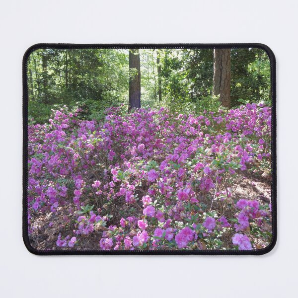 Item preview, Rhododendrons in the Woods designed and sold by GardenArtworks.