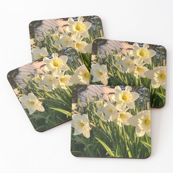 Item preview, Lovely Ice folly daffodils in the golden hour  designed and sold by FlowersAndMore.