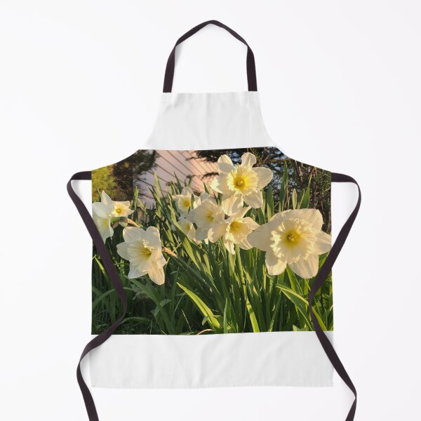 Item preview, Lovely Ice folly daffodils in the golden hour designed and sold by FlowersAndMore.