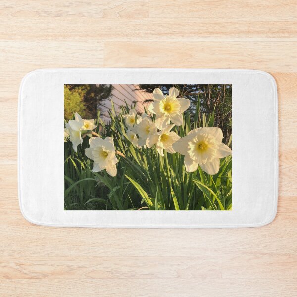 Item preview, Lovely Ice folly daffodils in the golden hour  designed and sold by FlowersAndMore.