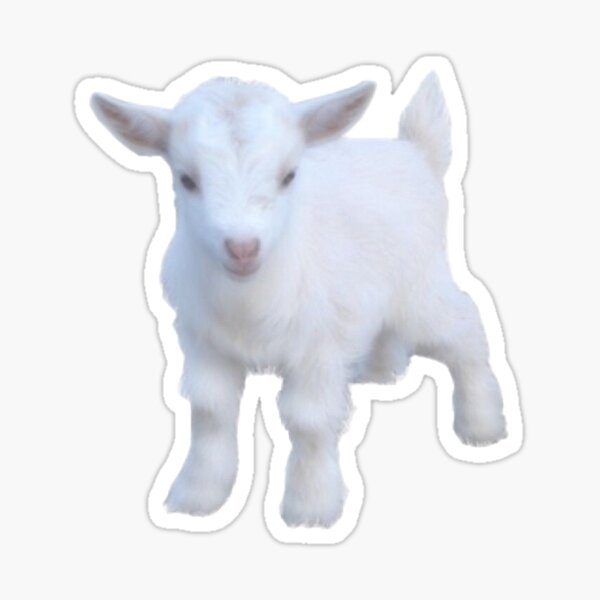 Vista previa del artículo con la obra «cabrito blanco cottagecore», diseñado y vendido por mandynl15.