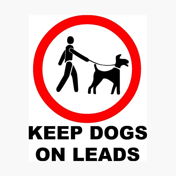 "Keep Dogs on a Leash" Photographic Print for Sale by sweetsixty