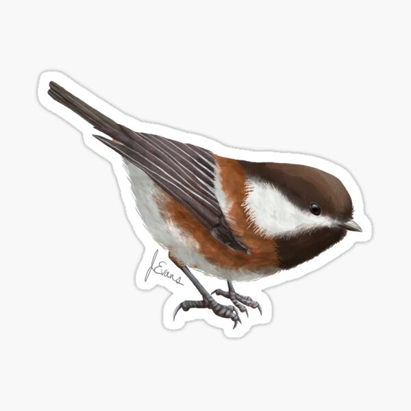 Item preview, Chestnut-backed Chickadee #1 designed and sold by dreamerdesigns.
