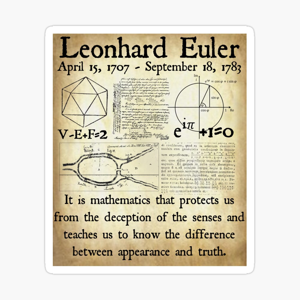 Leonhard Euler Mathematics and Truth Quote Each Problem Solved Vintage Math  Design on Parchment Background