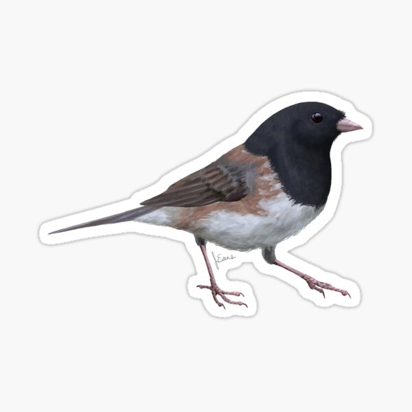 Item preview, Dark-eyed Junco #1 designed and sold by dreamerdesigns.
