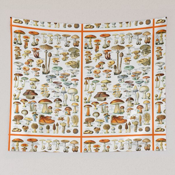 Item preview, Mushroom - Vintage Edible Mushroom Chart designed and sold by TeeARTHY.