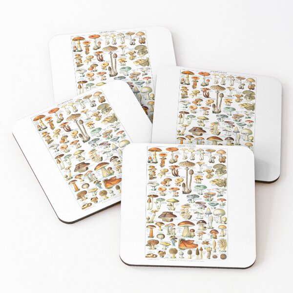 Item preview, Mushroom - Vintage Edible Mushroom Chart designed and sold by TeeARTHY.