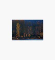 Trees Make a Scene Art Board