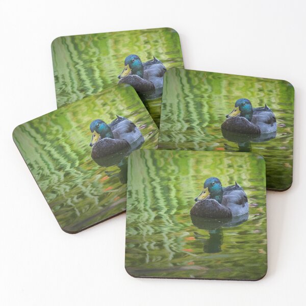 Item preview, Young mallard drake designed and sold by Art in Nature.