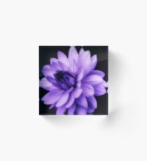 Orton Flower Acrylic Block