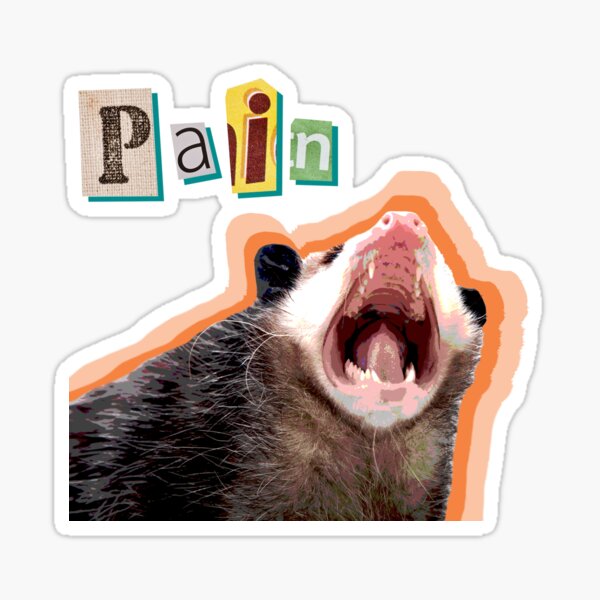 Item preview, Opossum Pain designed and sold by Nowak.