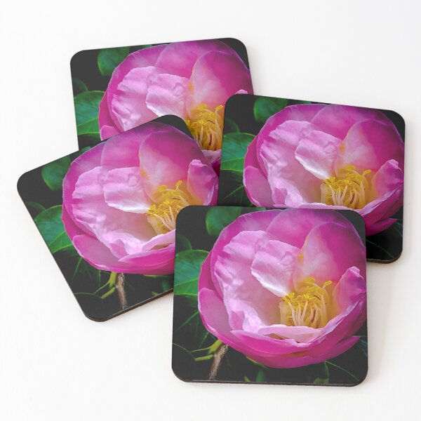 Item preview, Pretty in Pink Roses |Pink and Yellow Flowers | Photography art  designed and sold by Hexxyl.