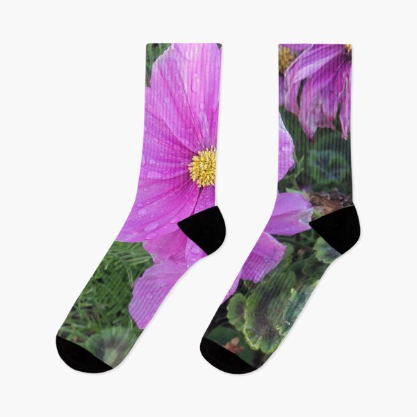 Item preview, Pretty in Pink Daisy |Pink and Yellow Flowers | Photography art  designed and sold by Hexxyl.