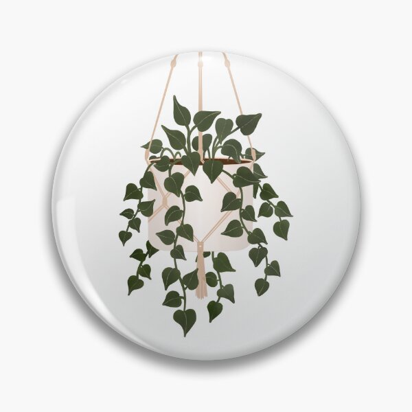 Item preview, Hanging Pothos House Plant designed and sold by StoneyPointRoad.